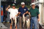 [Norfork01 SEP 97]