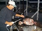 [Norfork SEP 99]