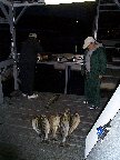 [Norfork SEP 99]