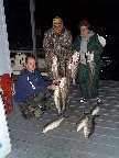 [Norfork SEP 99]