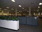 [The Call Center]