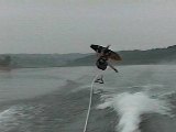 [The Flying Norb]