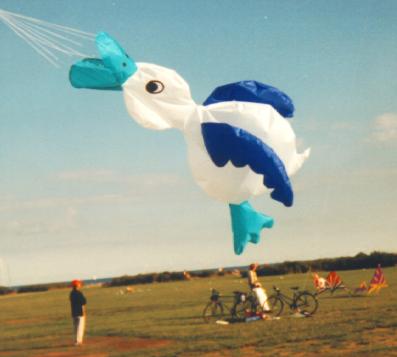 [Duck windsock]