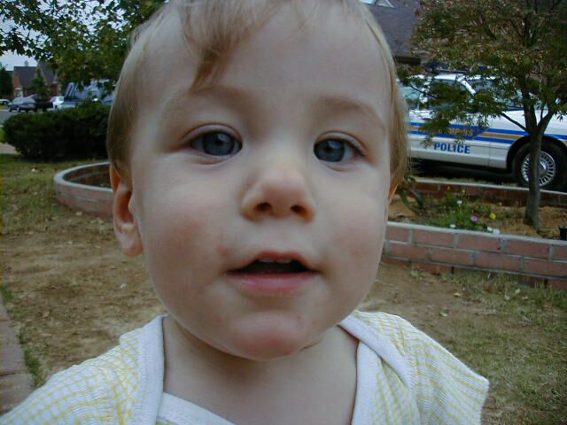  Brandon 