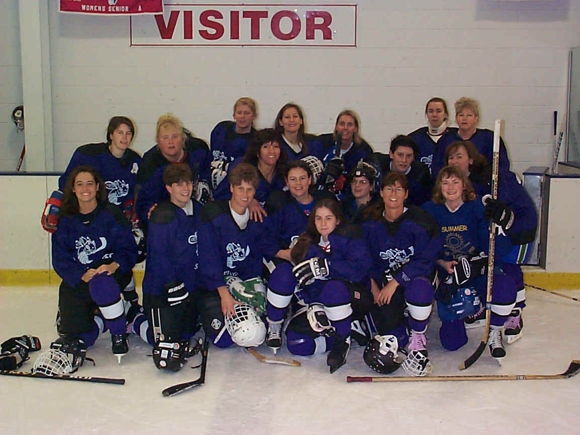 Michiana Sting