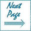 Next Page