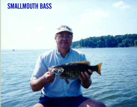 Smallmouth Bass