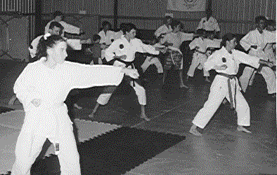 Kata Class for Junior Ranks - Shoreijiryu Rochedale Dojo