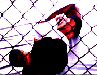 Chuck at Neutral Grounds
