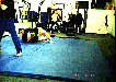 Shootfighting free sparr ISFA