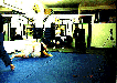 Shootfighting free sparr ISFA