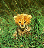 Is this cute or what?