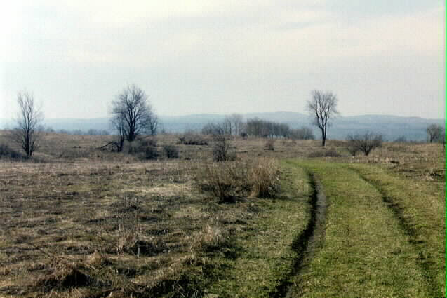The Serengetti - (Upper Fields)
