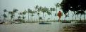Flooding in Hilo
