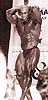 Levrone