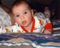 Crawl, Aaron, Crawl!
