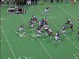 vikestb.gif