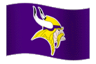 vikingflag.gif