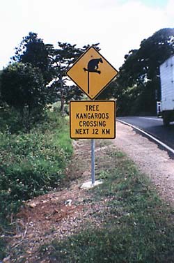 Look at That Traffic Sign!