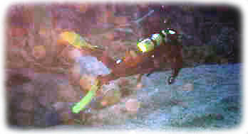 Rene diving over Egyptian vase!