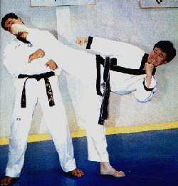 Karate: los combates libres (kumites) 69