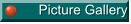 Picture Gallery