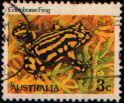 corroboree frog
