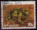 crucifix toad