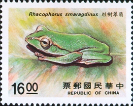 rhacophorus smaragdinus