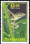 tree frog