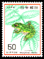racophorus schlegeli arboreus