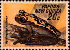 nyctimystes narinosa