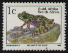 'frog