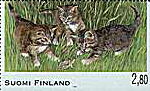 3 cats + 1 frog