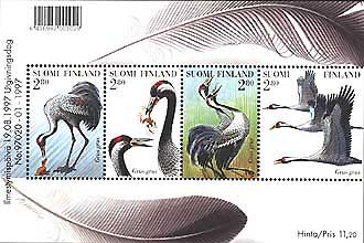 19-aug-1997: cranes