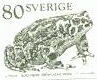 bufo viridis