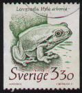 hyla arborea