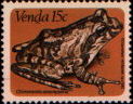 chiromantis xerampelina
