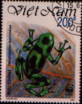 dendrobates leucomelas