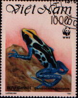 dendrobates tinctorius