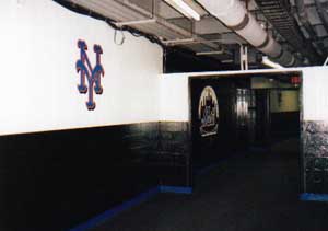 Mets Tunnel