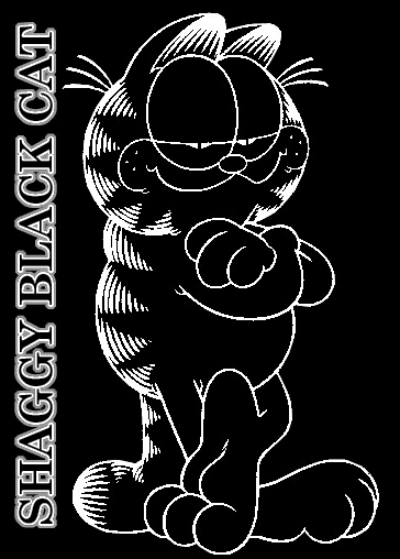Do you see the cat logo on a picture? You'll know it's an original "Shaggy Black Cat"!