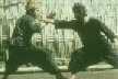 Pukulan Pencak Silat.