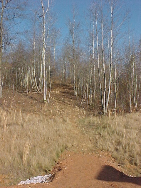 Hole1 A Tee