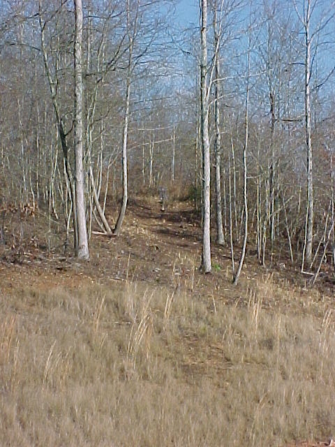 Hole 1 - B Tee