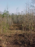Hole 3 - A Tee