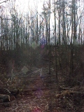 Hole 4