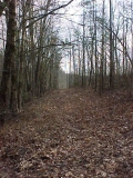 Hole 5