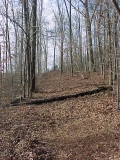 Hole 6