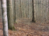 Hole 7
